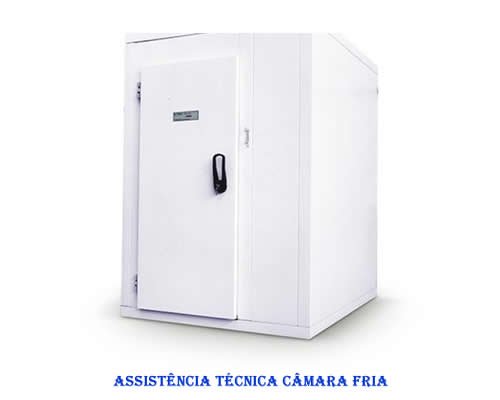 assistencia-tecnica-camara-fria